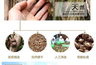 富农园特级冬菇 福建山珍的优质之选