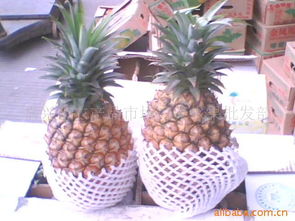 嘉兴市农产品市场太康水果批发部 优质食用农产品的专业批发平台