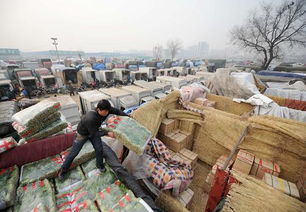 蔬菜批发价格连涨十周 探析背后的市场动态与应对之道