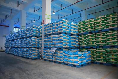 订单引领，品牌赋能 四川丰裕公司助力大英打造“天府粮仓”食用农产品批发新高地