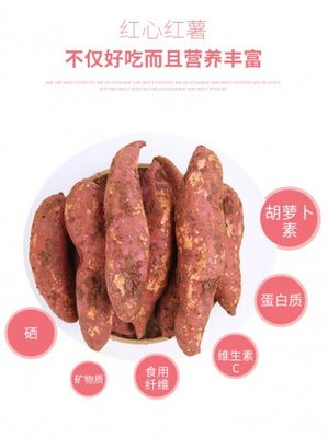 红土蜜薯现挖鲜发 云南红土地红薯大果中果批发全解析