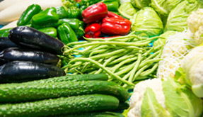 食用农产品批发市场商务预报 洞察行业动态，把握市场脉搏